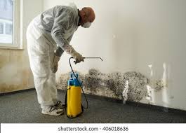 Santa Clara, CA Mold Inspection Company